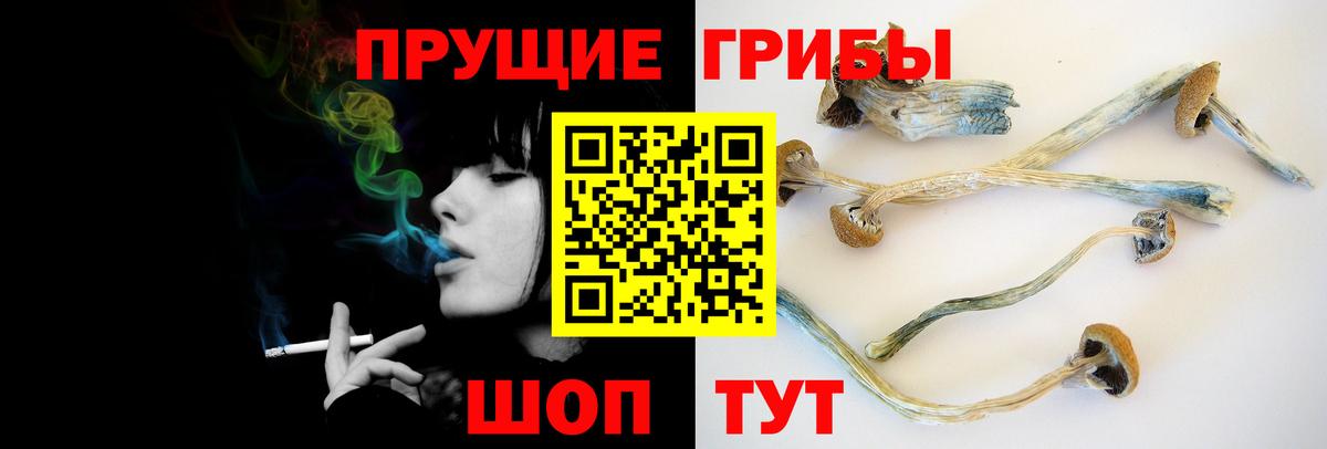Галлюциногенные грибы прущие грибы  Вход с VPN  Усть-Джегута 